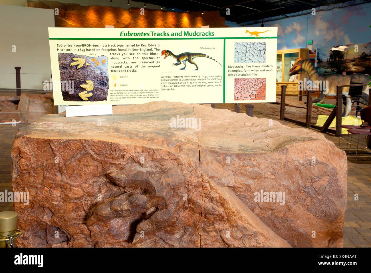 Percorso dei dinosauri di Eubrontes, sito di scoperta dei dinosauri di St. George presso Johnson Farm, St. George, Utah Foto Stock