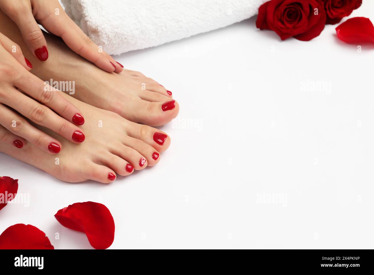 Donna con eleganti unghie rosse dopo la procedura di pedicure e petali di rosa su sfondo bianco, primo piano. Spazio per il testo Foto Stock