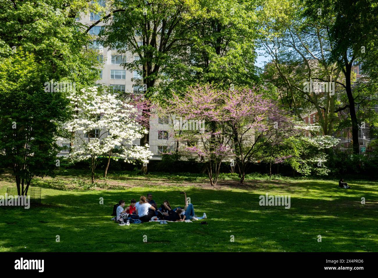 I visitatori si godono un picnic, Central Park, NYC, 2024, USA Foto Stock