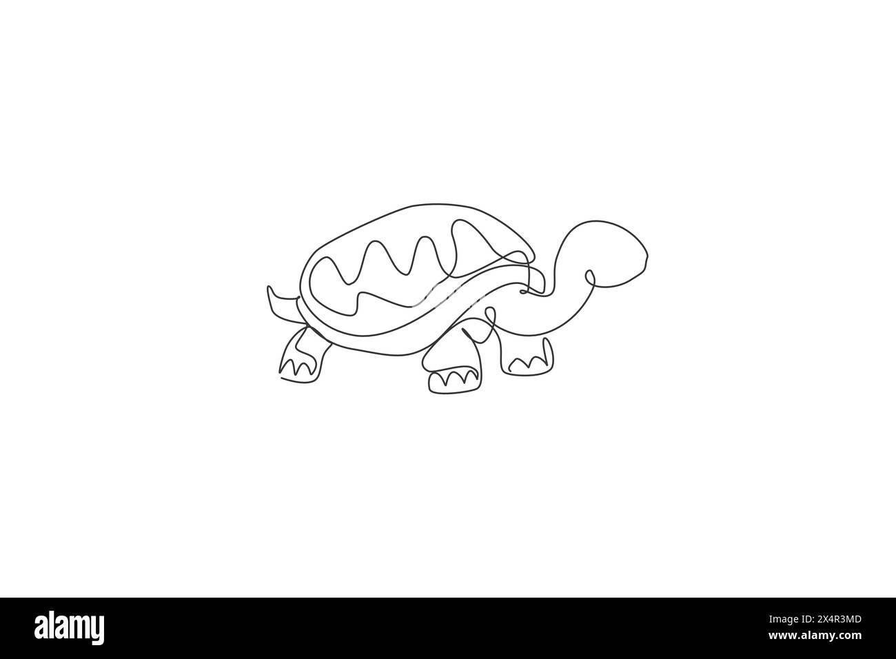 Un disegno continuo di una grande e carina tartaruga sull'isola delle Galapagos. Conservazione del parco nazionale degli animali selvatici. Zoo safari. Linea singola dinamica Illustrazione Vettoriale