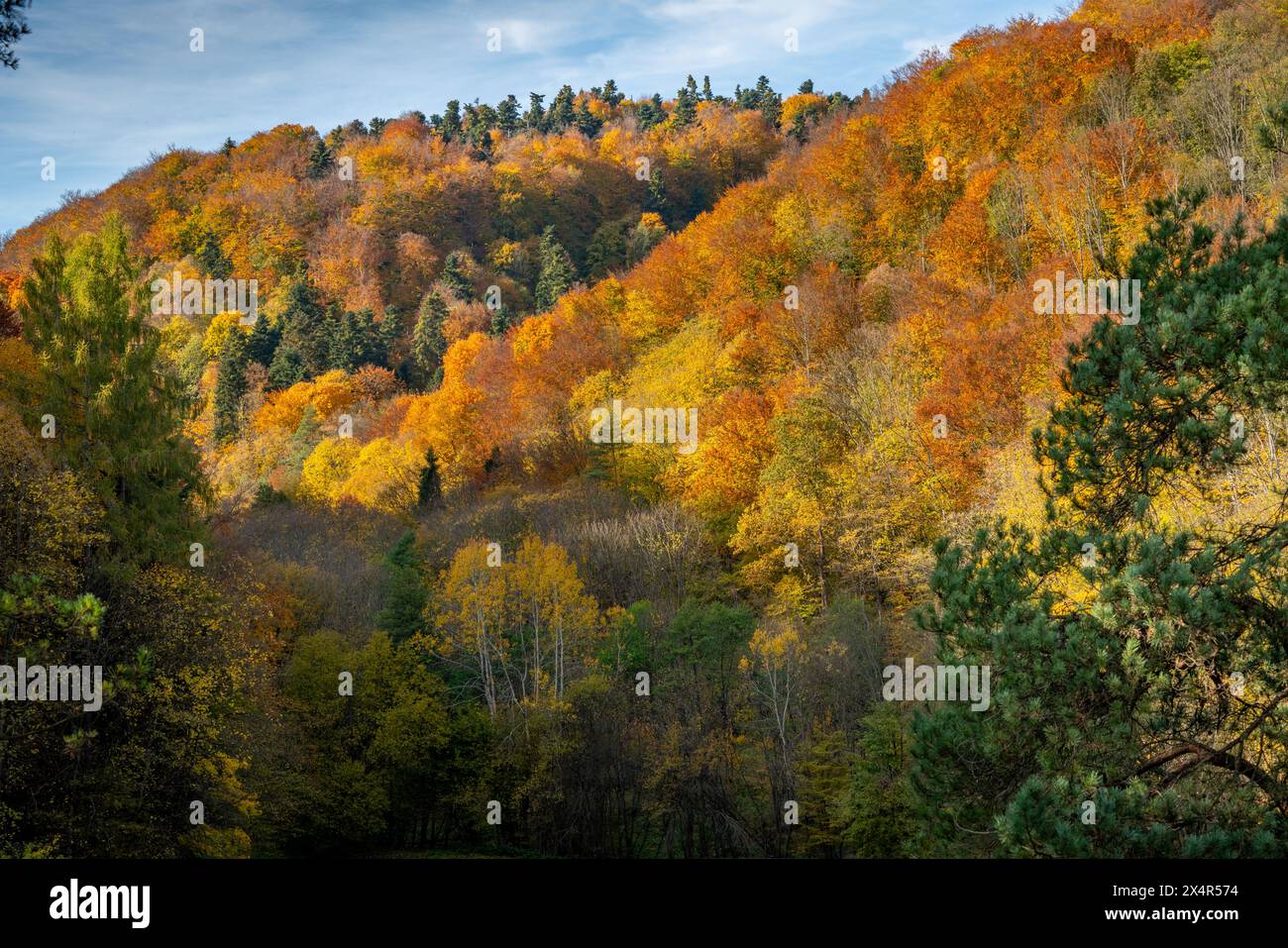 Parco nazionale di Ojcow, Polonia, visto dal punto di vista di Jonaszówka Foto Stock