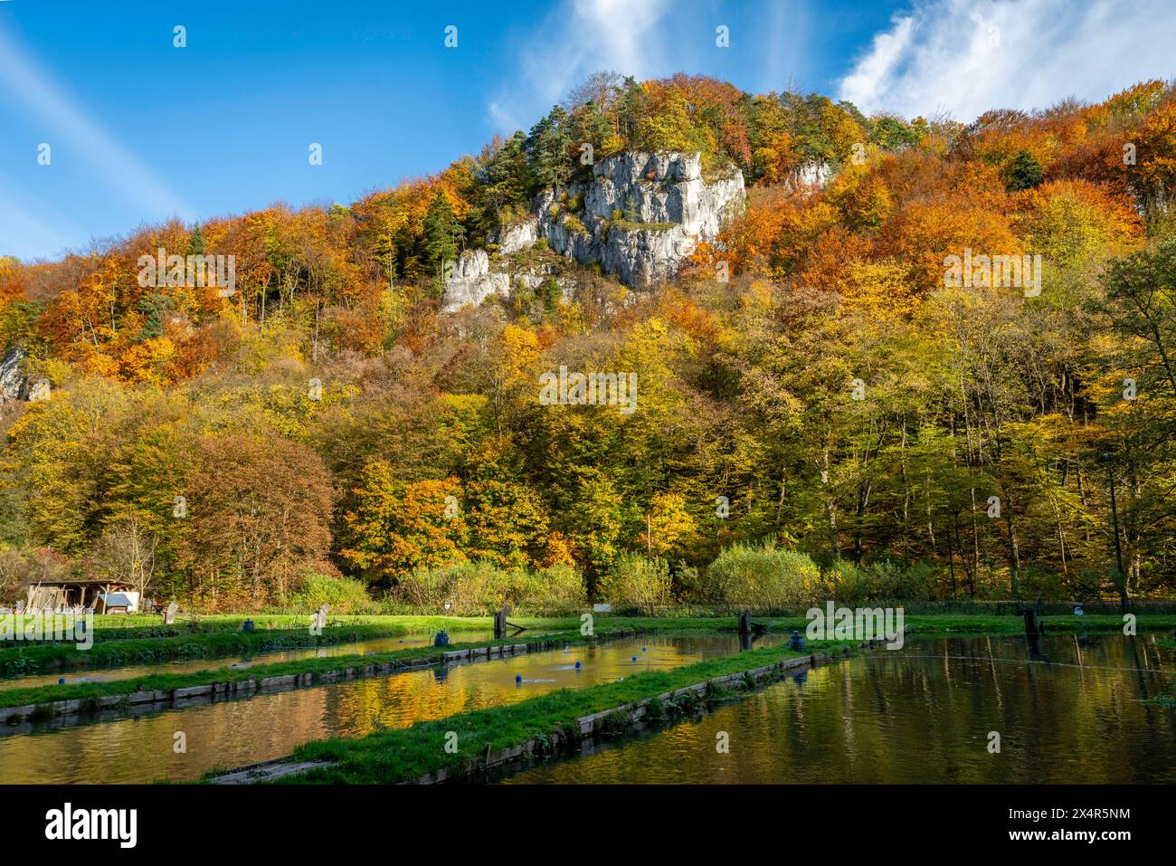 Ojcow National Park, Polonia Foto Stock