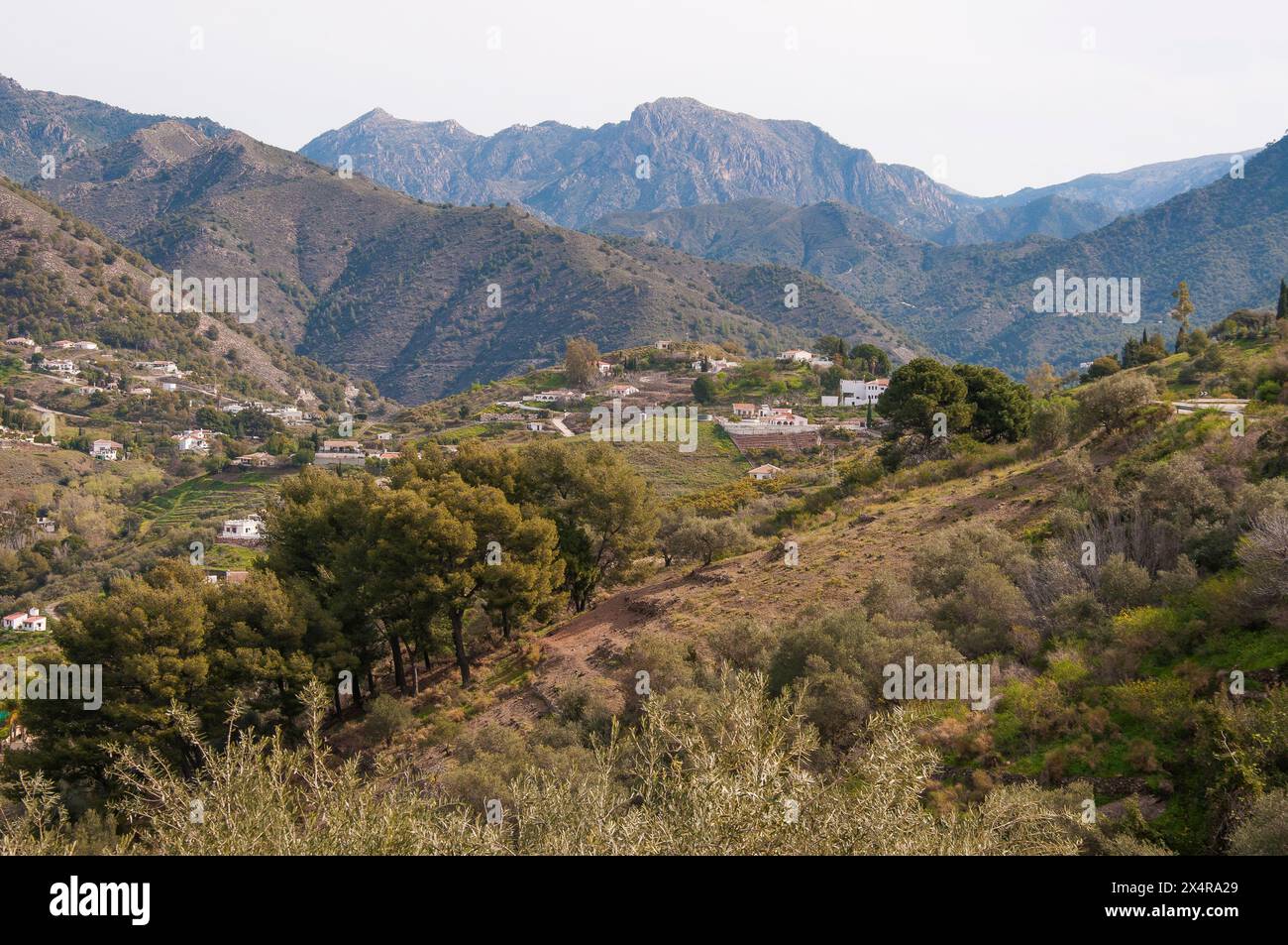 Campagna della Sierra Almijara fuori Competa nella regione di Axarquía in Andalusia, Spagna Foto Stock