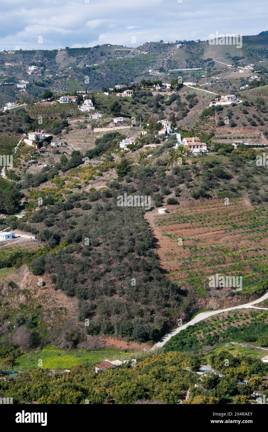 Frutteti e campi terrazzati si estendono sotto e oltre il "Villaggio bianco" di Frigiliana nella regione Axarquia dell'Andalusia, Spagna Foto Stock