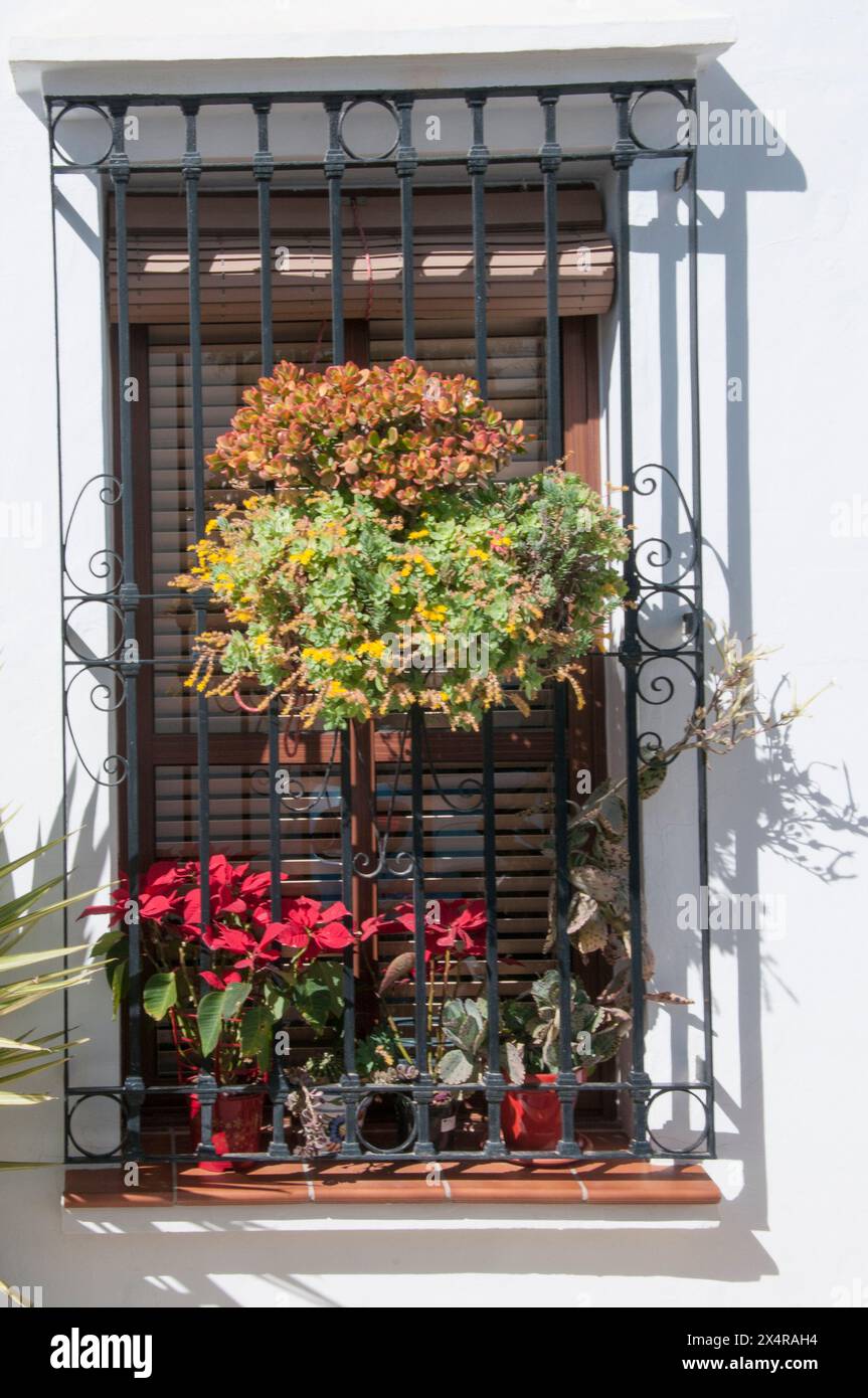 Il ferro battuto è una caratteristica onnipresente nella tradizionale architettura domestica del "Villaggio bianco" di Frigiliana, Andalusia, Spagna Foto Stock