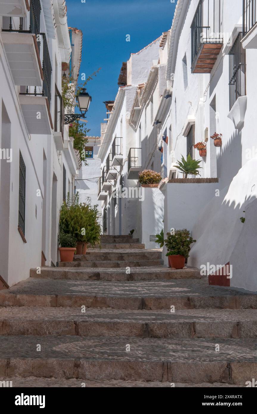Gli edifici bianchi fiancheggiano le stradine e i vicoli del "Villaggio bianco" di Frigiliana, Andalusia, Spagna Foto Stock