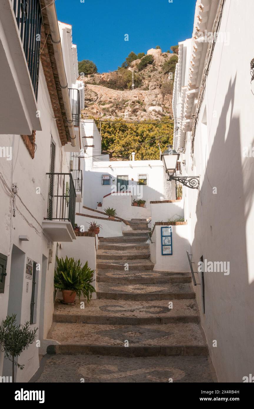 Gli edifici bianchi fiancheggiano le stradine e i vicoli del "Villaggio bianco" di Frigiliana, Andalusia, Spagna Foto Stock
