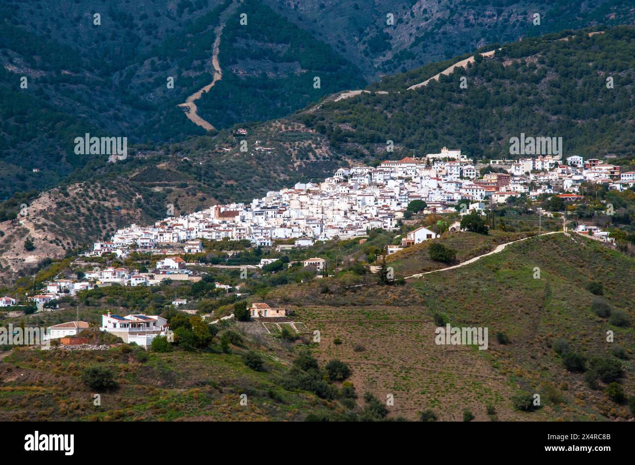 "Villaggio bianco" di Canillas de Albaida, Axarquia, Andalusia, Spagna Foto Stock