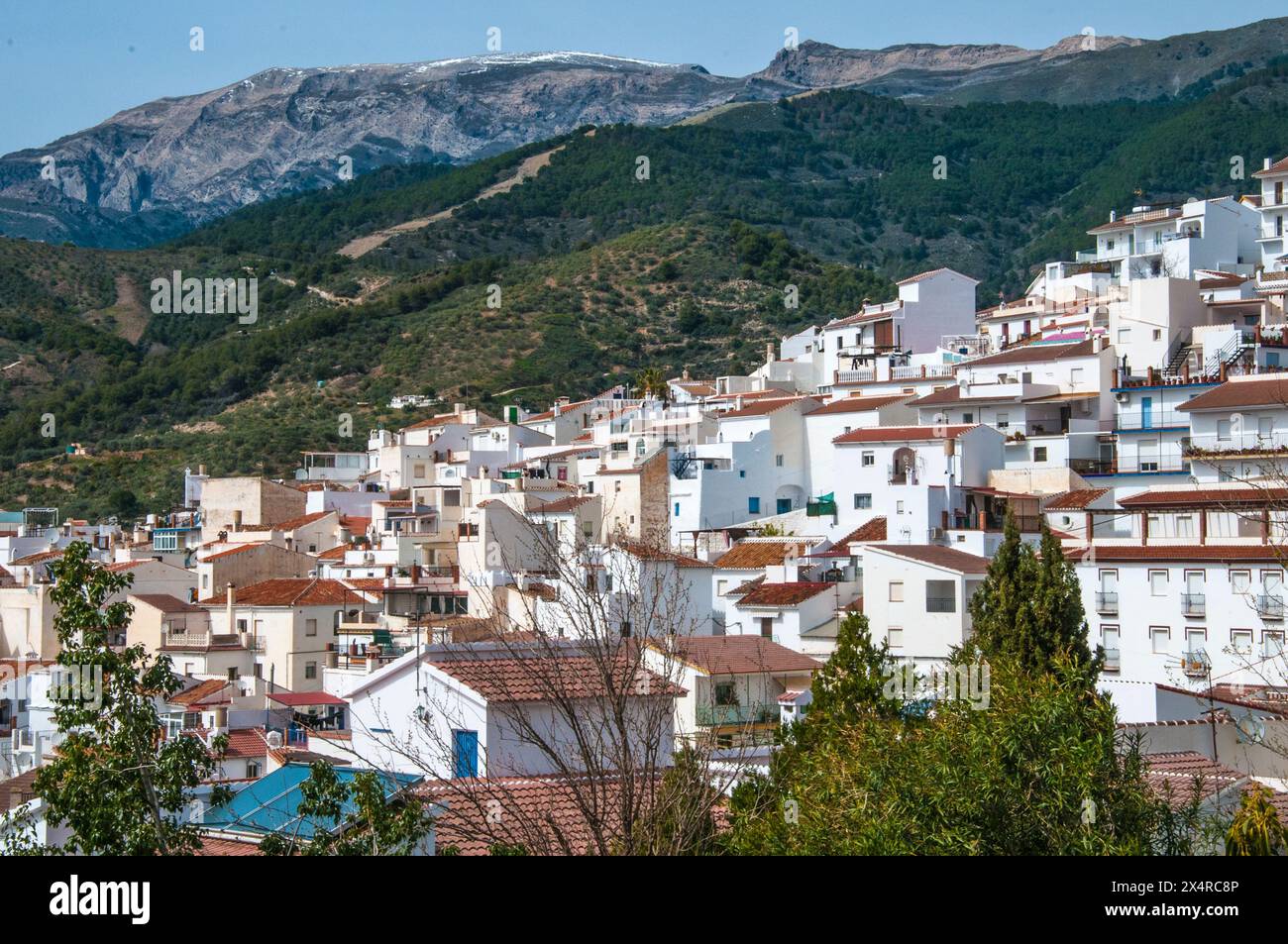 "Villaggio bianco" di Canillas de Albaida, Axarquia, Andalusia, Spagna Foto Stock