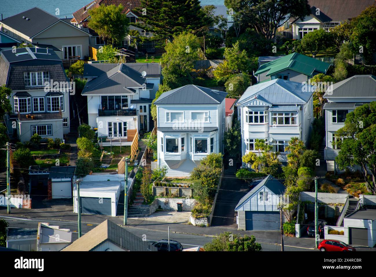 Residential Houses - Wellington - nuova Zelanda Foto Stock