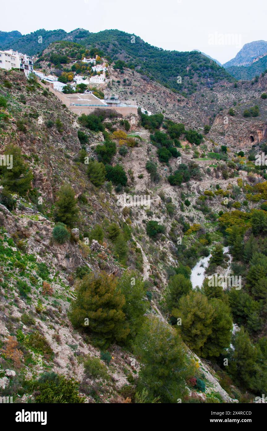 Gola di Rio Higueron sotto il "Villaggio bianco" di Frigiliana, Andalusia, Spagna Foto Stock