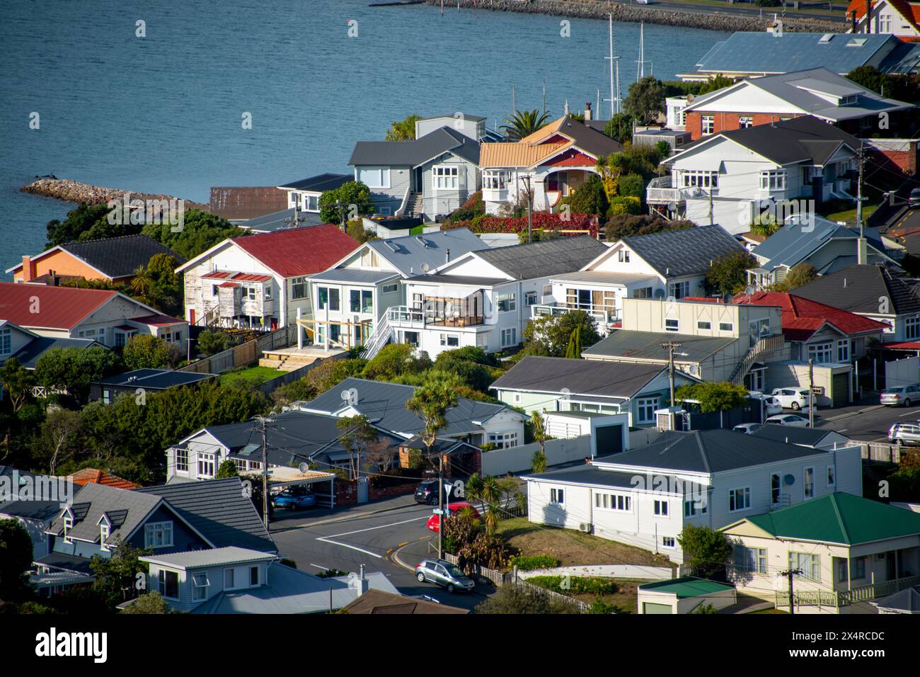 Residential Houses - Wellington - nuova Zelanda Foto Stock