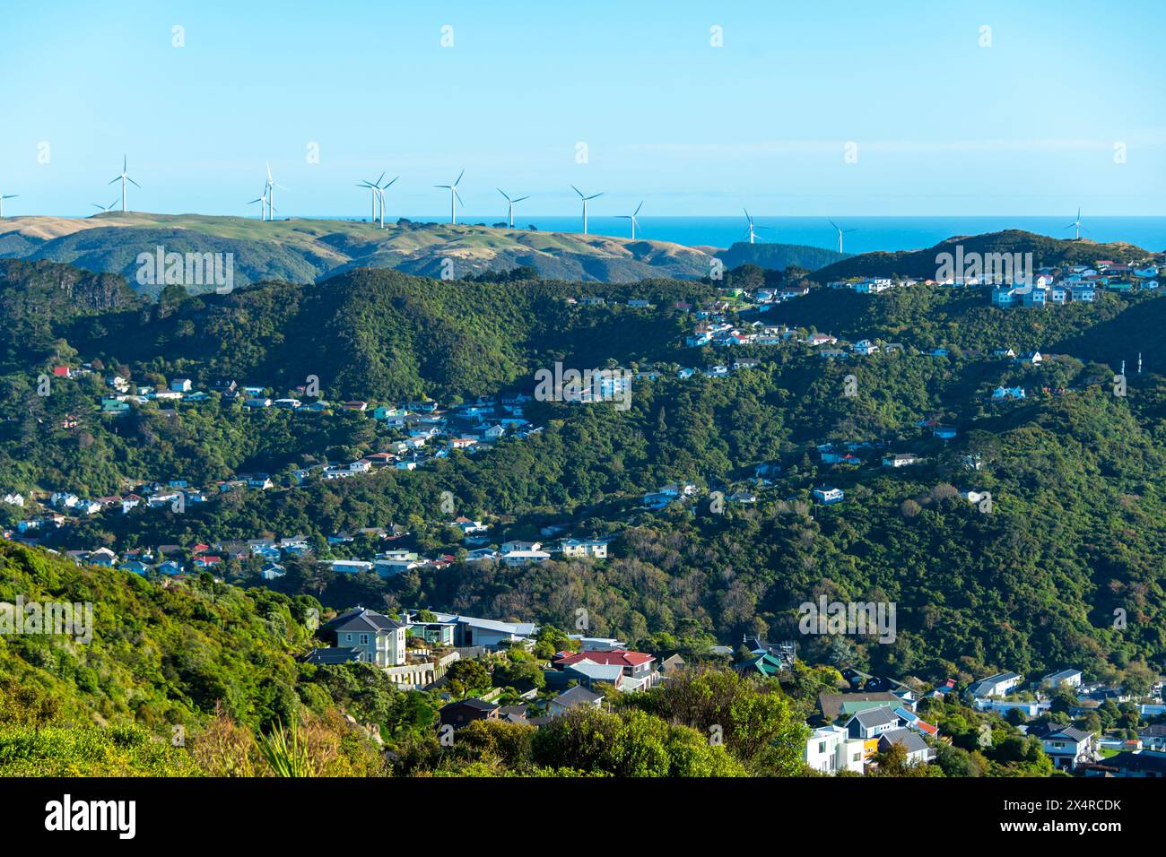 Residential Houses - Wellington - nuova Zelanda Foto Stock