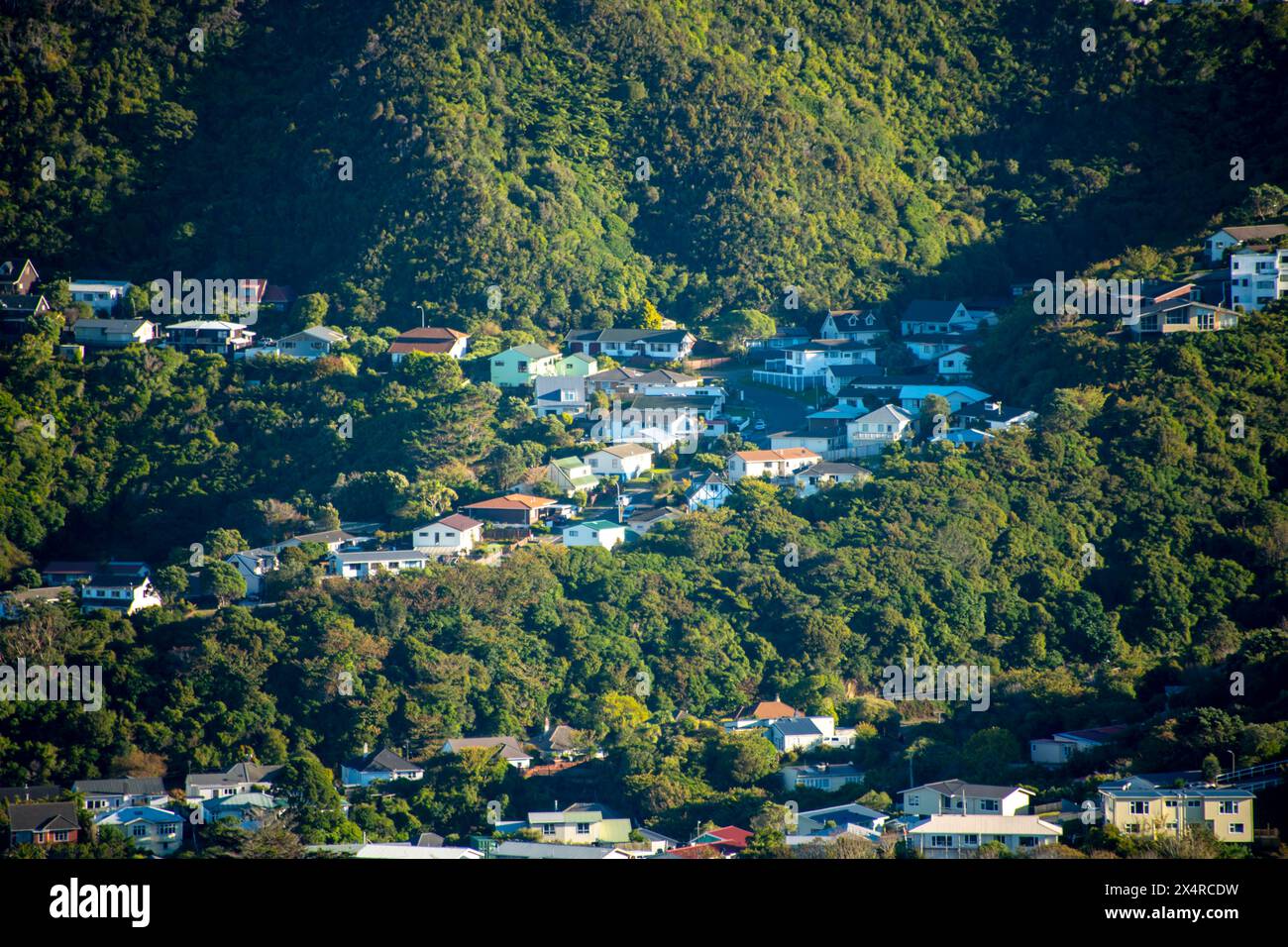 Residential Houses - Wellington - nuova Zelanda Foto Stock