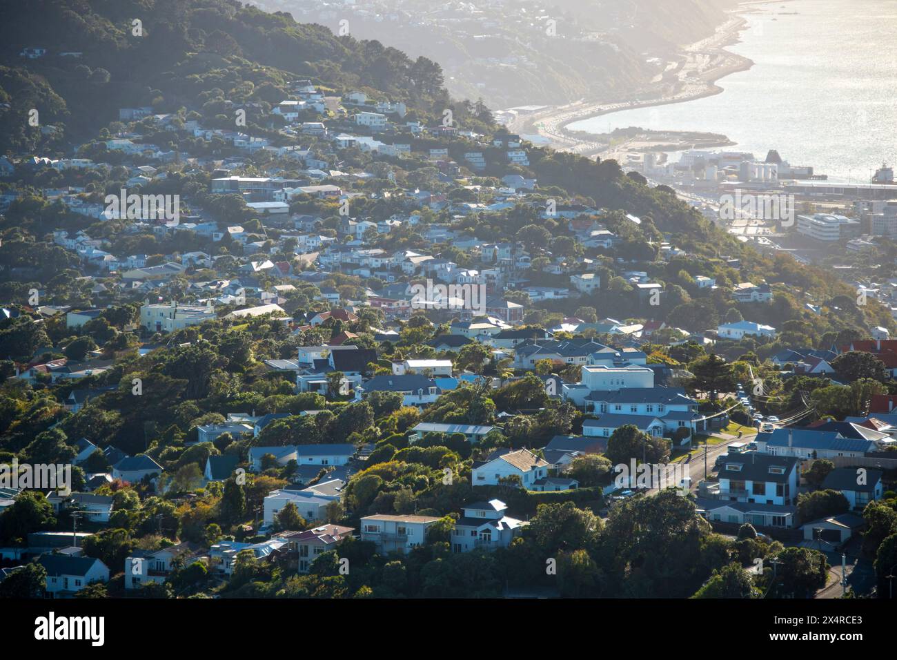 Residential Houses - Wellington - nuova Zelanda Foto Stock