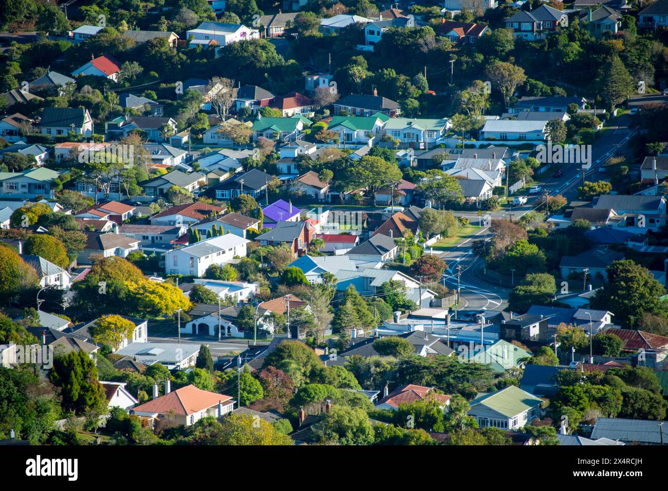 Residential Houses - Wellington - nuova Zelanda Foto Stock