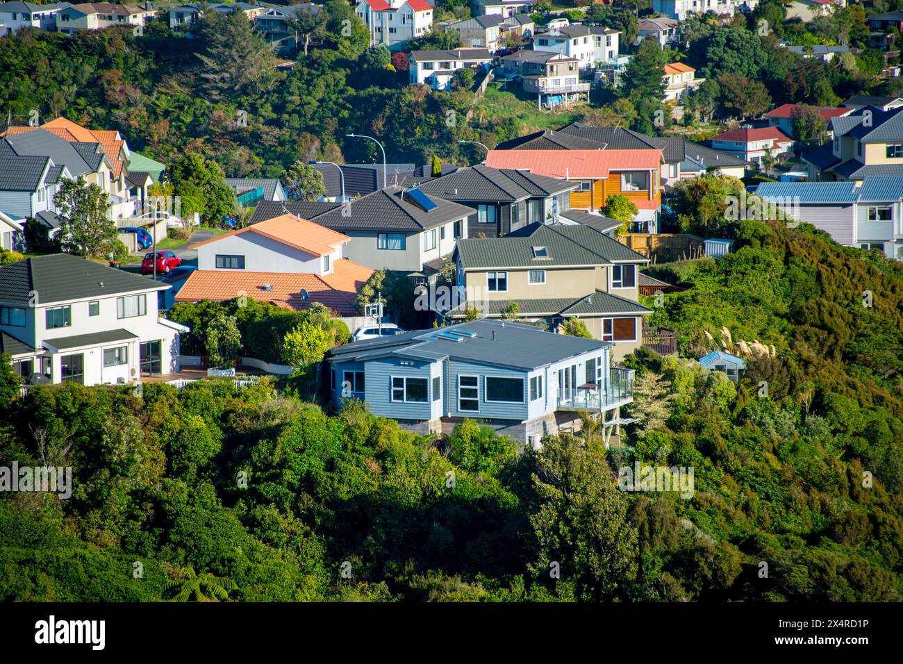 Residential Houses - Wellington - nuova Zelanda Foto Stock