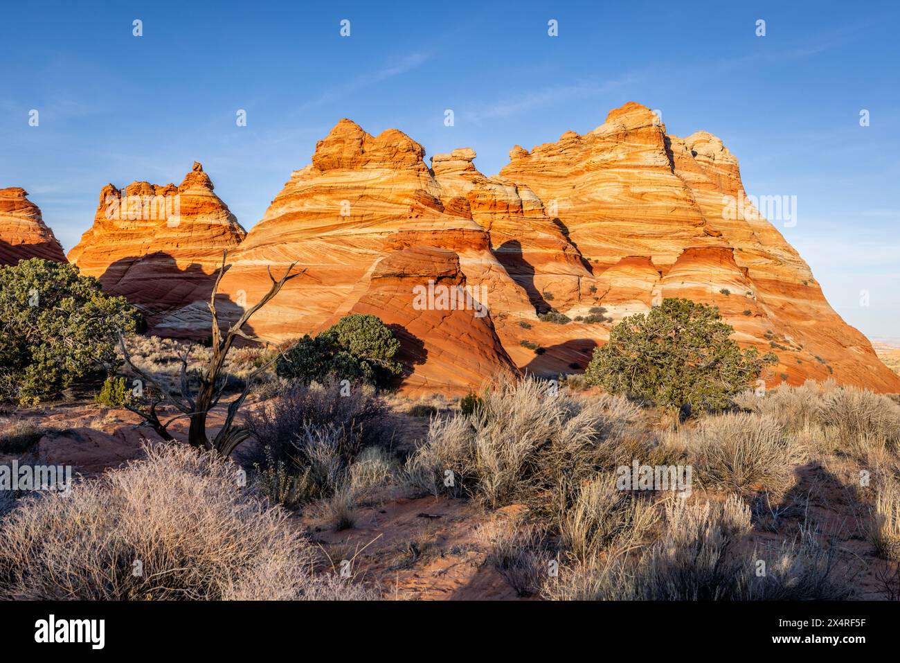 Tepee al tramonto, South Coyote Buttes al Paria Canyon, Vermilion Cliffs National Monument, Arizona, USA Foto Stock