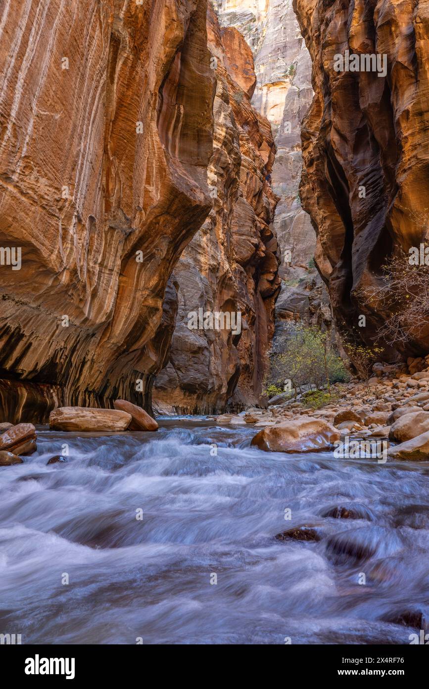 Virgin River Narrows presso lo Zion National Park, Utah, USA Foto Stock