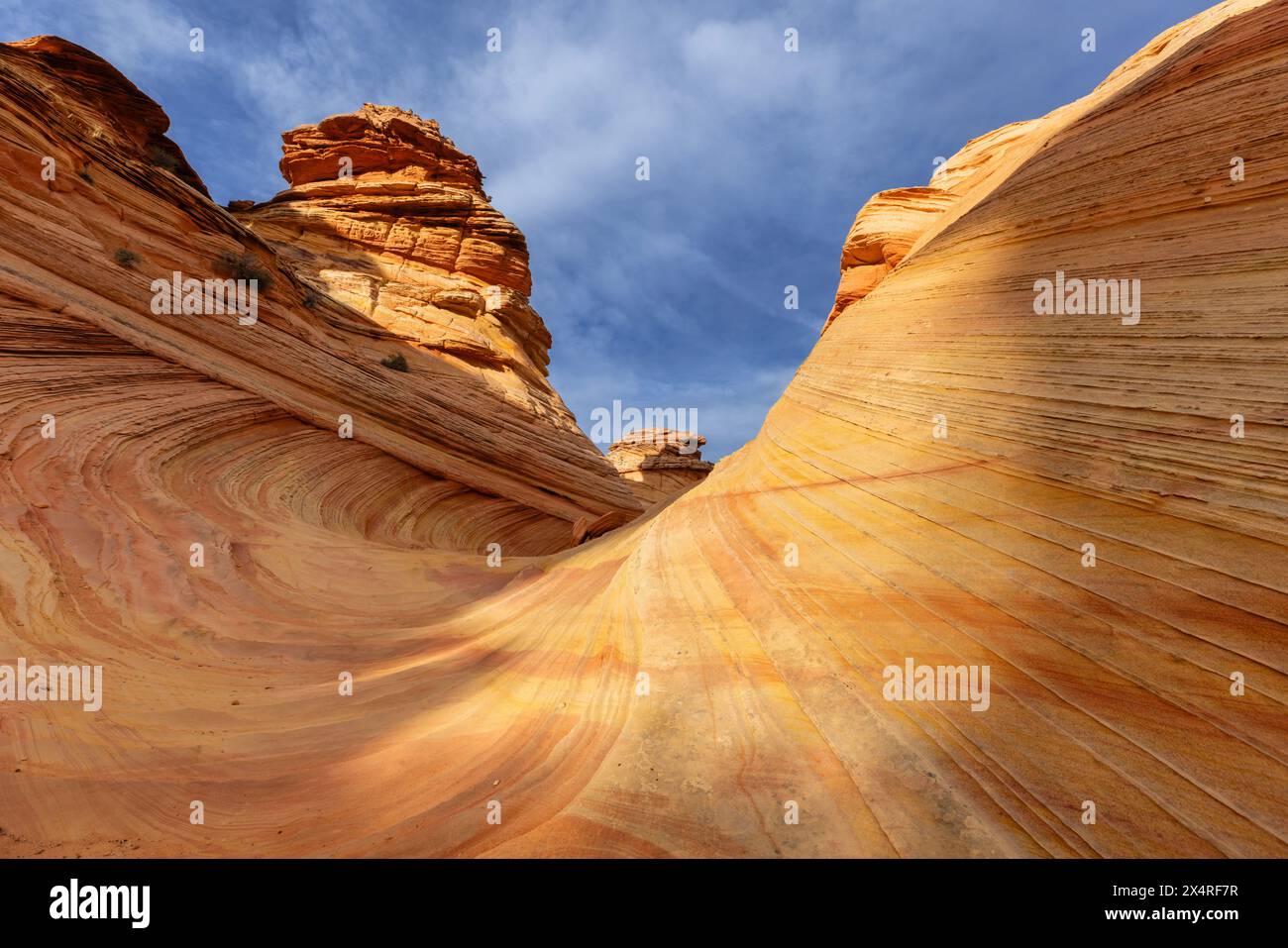 Southern Wave a South Coyote Buttes a Paria Canyon, Vermilion Cliffs National Monument, Arizona, USA Foto Stock