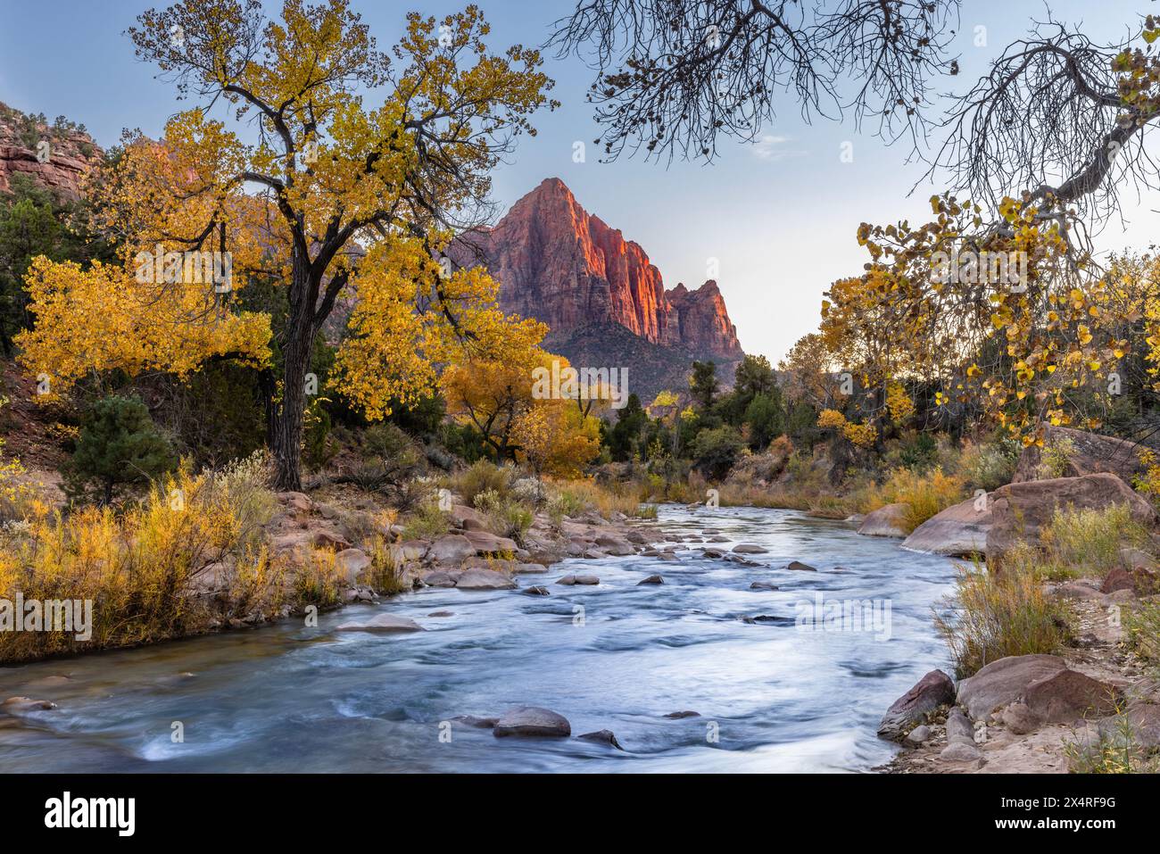 Il summit Watchman allo Zion National Park, Utah, Stati Uniti Foto Stock