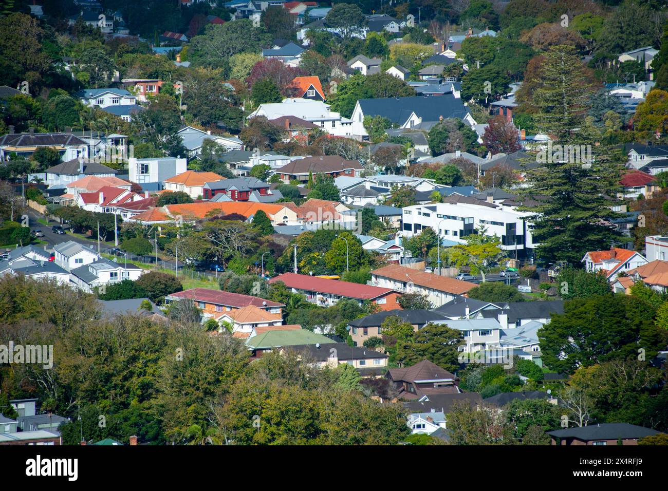 Case residenziali a Auckland - nuova Zelanda Foto Stock