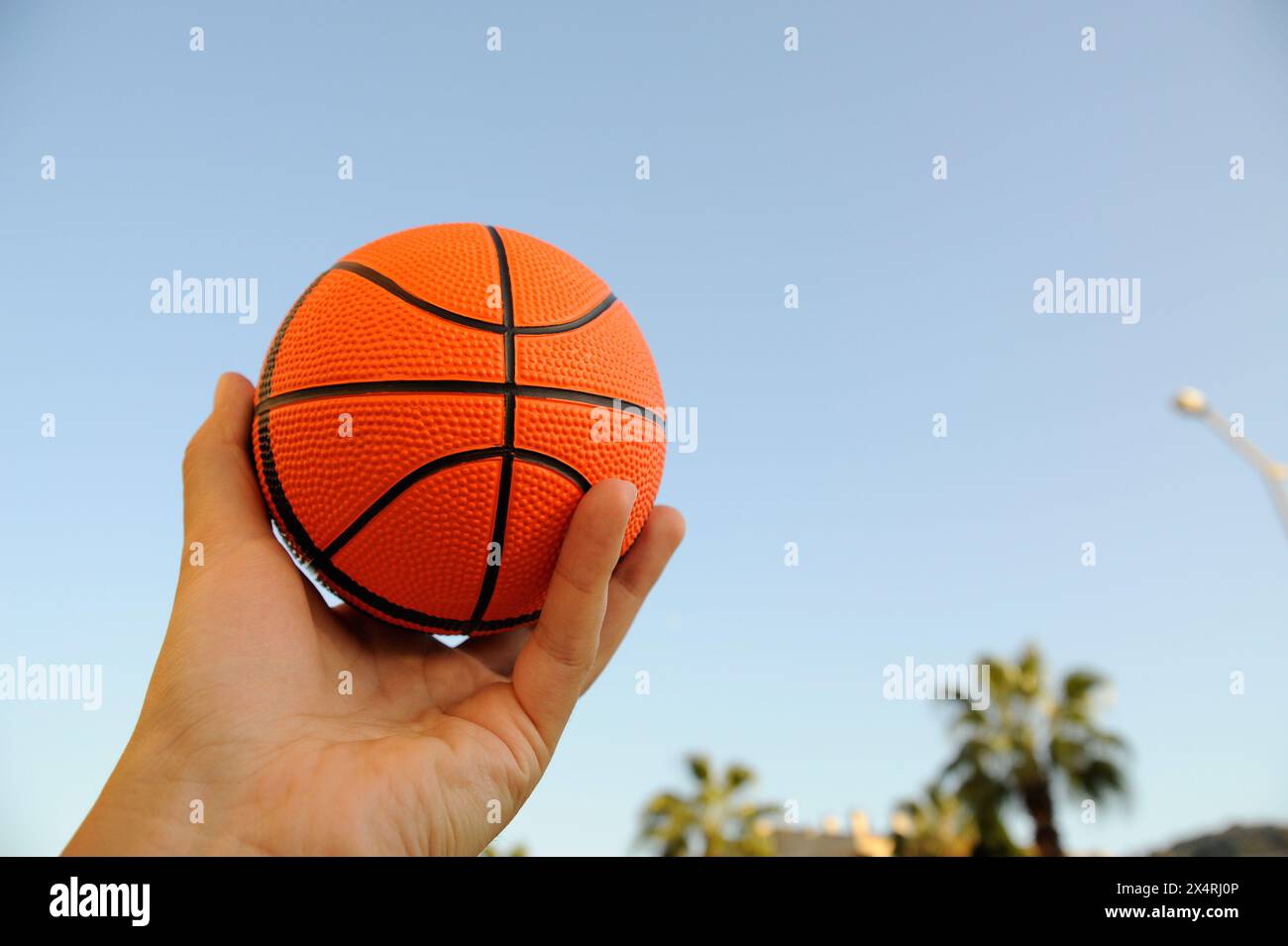 palla da basket sullo sfondo del cielo Foto Stock