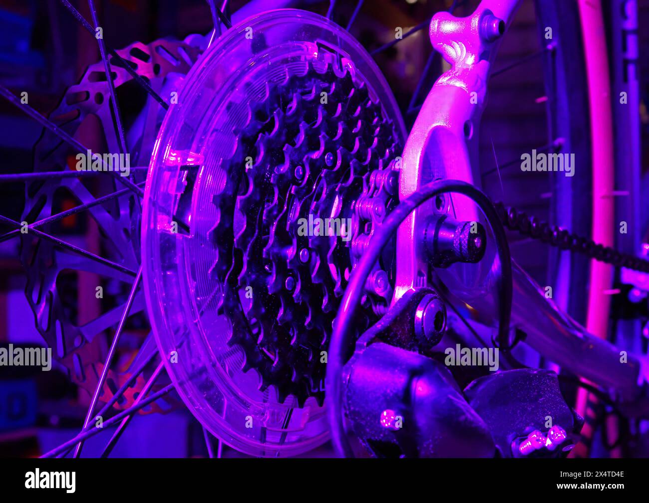 Primo piano degli ingranaggi delle biciclette sotto una luce viola Foto Stock