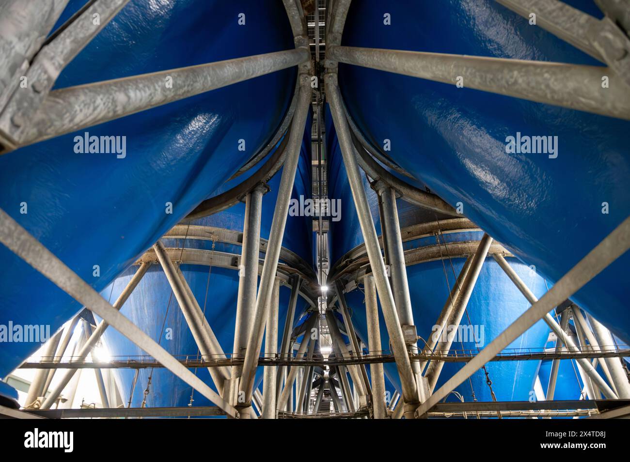 Attrezzature per la lavorazione di ortaggi freschi dopo la raccolta, lo stoccaggio, la cernita, il lavaggio, il taglio, imballaggio, agricoltura nei Paesi Bassi Foto Stock