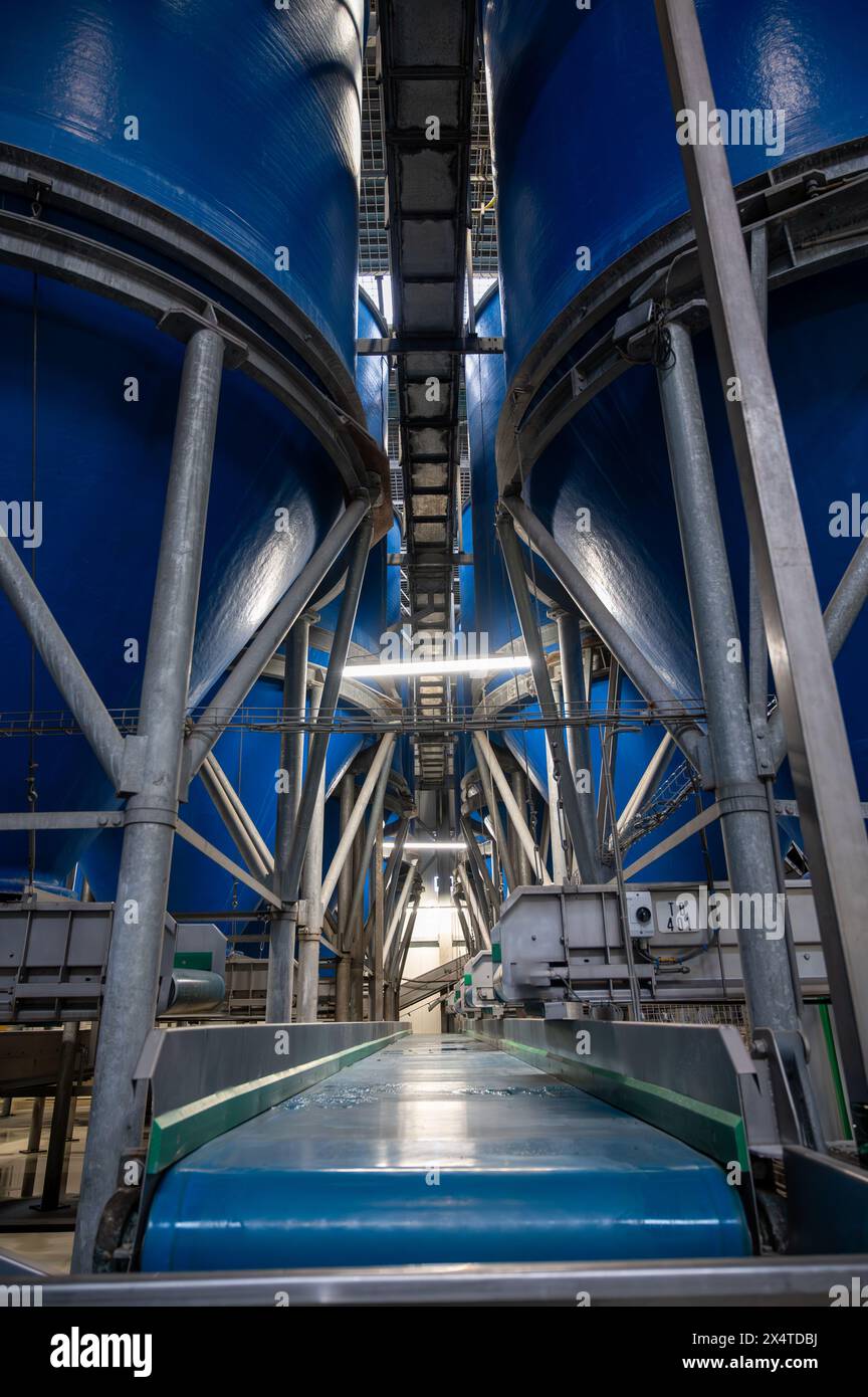 Attrezzature per la lavorazione di ortaggi freschi dopo la raccolta, lo stoccaggio, la cernita, il lavaggio, il taglio, imballaggio, agricoltura nei Paesi Bassi Foto Stock