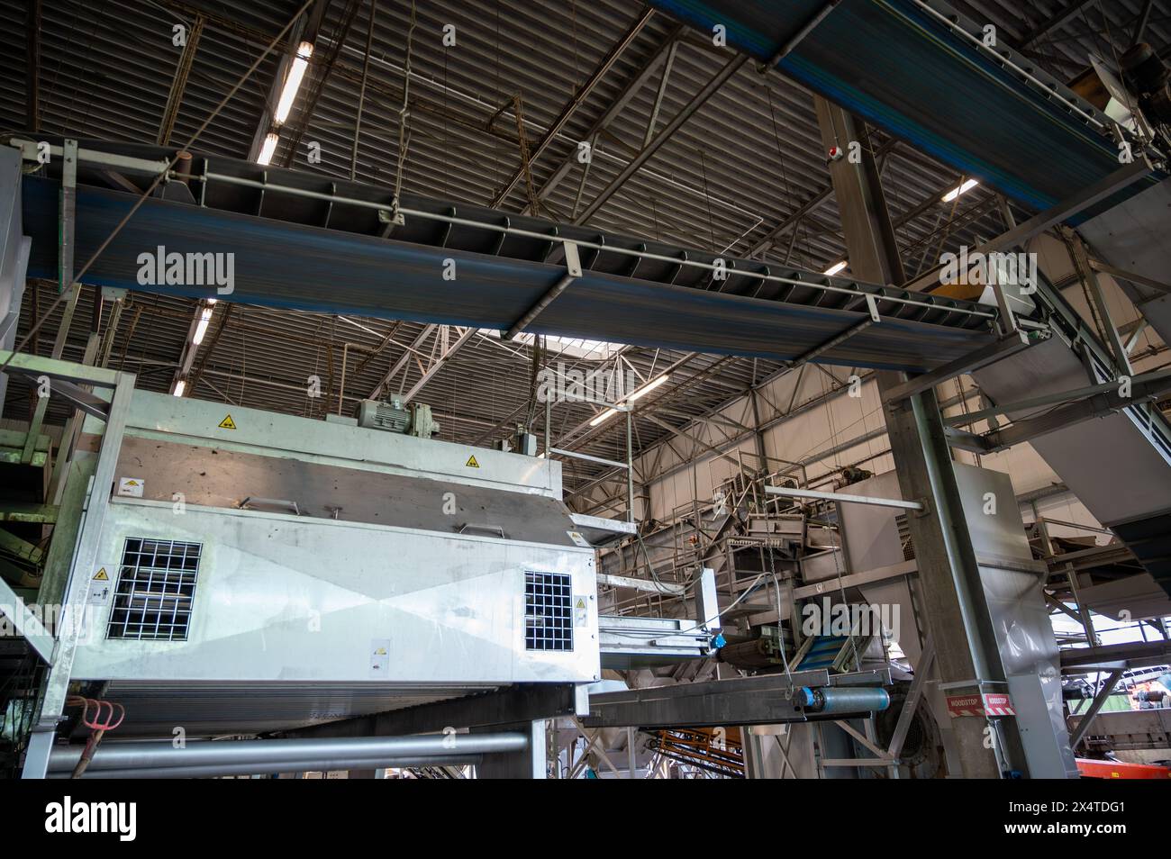 Attrezzature per la lavorazione di ortaggi freschi dopo la raccolta, lo stoccaggio, la cernita, il lavaggio, il taglio, imballaggio, agricoltura nei Paesi Bassi Foto Stock