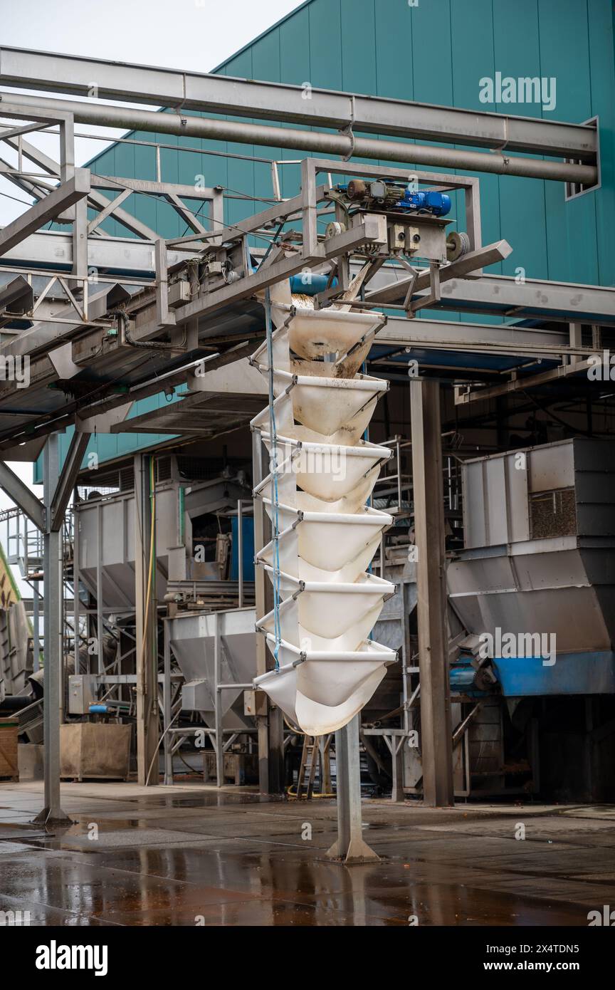 Attrezzature per la lavorazione di ortaggi freschi dopo la raccolta, lo stoccaggio, la cernita, il lavaggio, il taglio, imballaggio, agricoltura nei Paesi Bassi Foto Stock