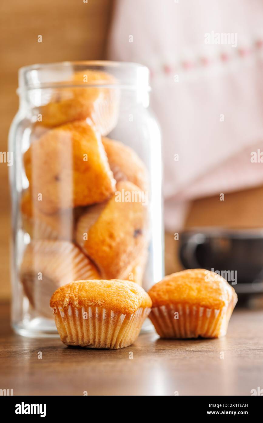Magdalenas i tipici muffin spagnoli su un tavolo di legno. Foto Stock