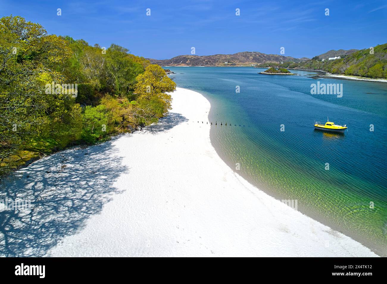 Silver Sands of Morar Highland Scotland gli alberi in primavera e la spiaggia con il fiume Morar e il mare in alta marea Foto Stock