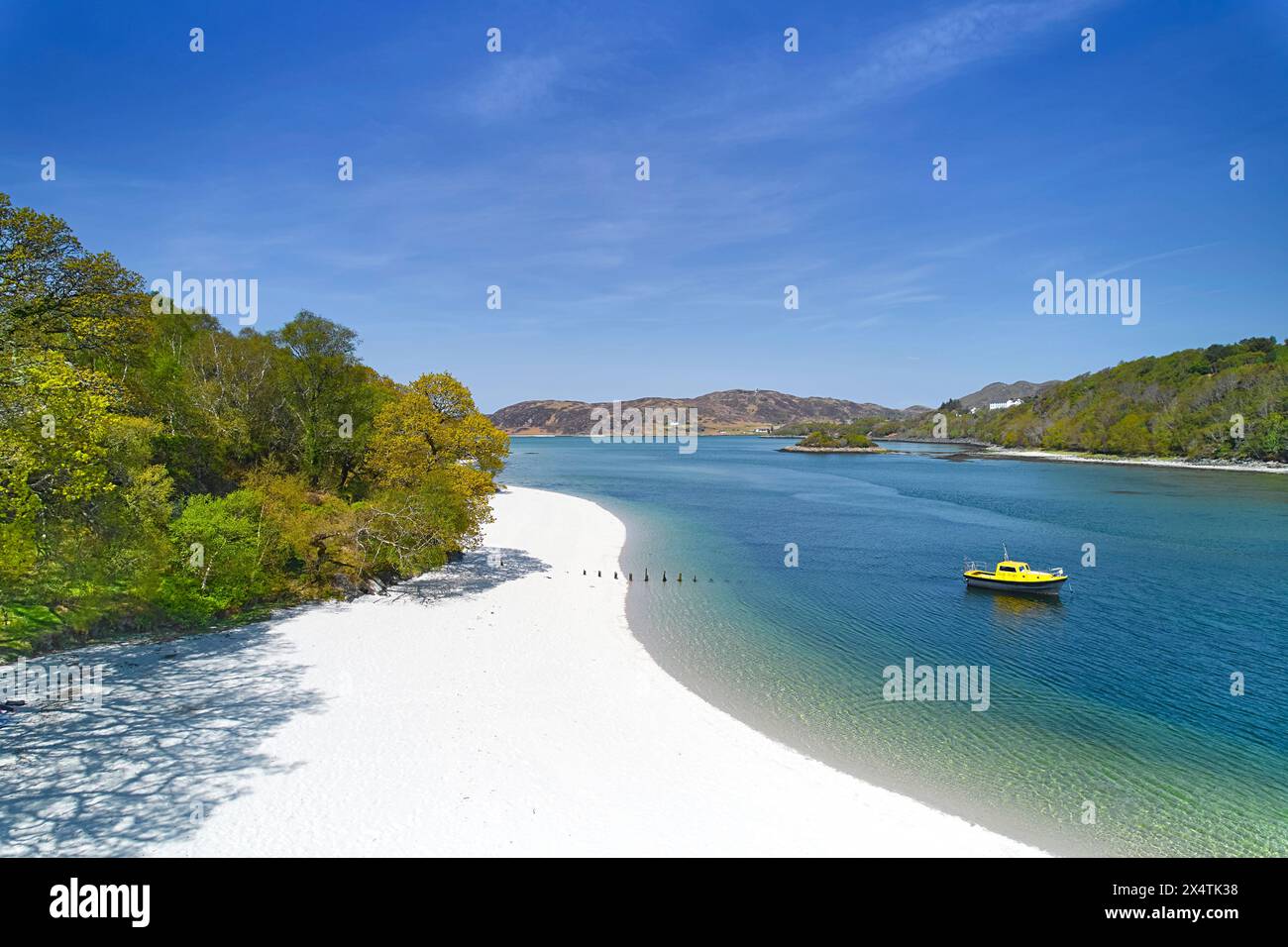 Silver Sands of Morar Highland Scotland Trees in Spring and Beach with River Moidart and Sea at high marea Foto Stock