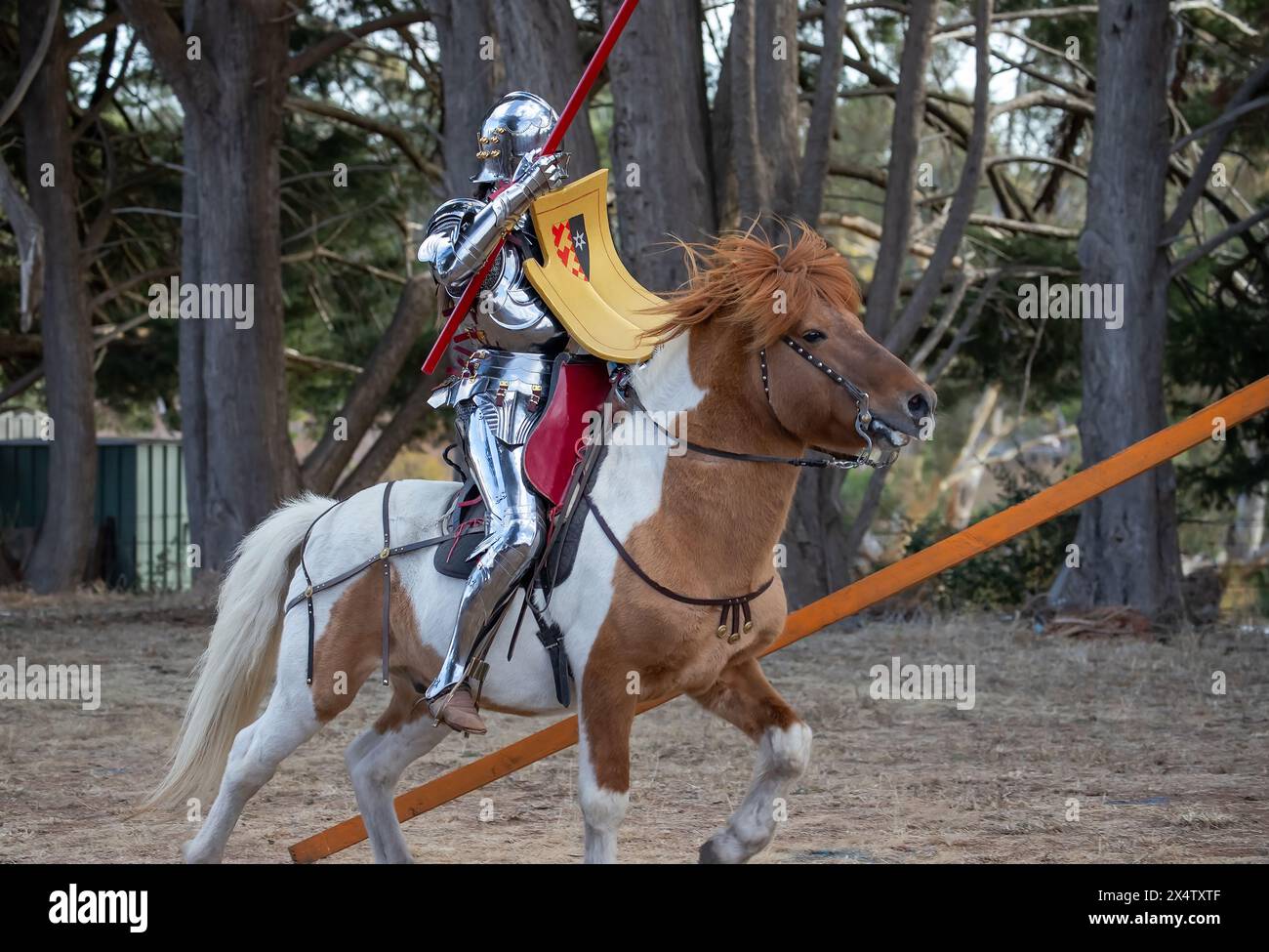 Medieval Fair South Australia, giostre di cavalieri a cavallo, competizioni d'armi, eventi di intrattenimento per la comunità Foto Stock