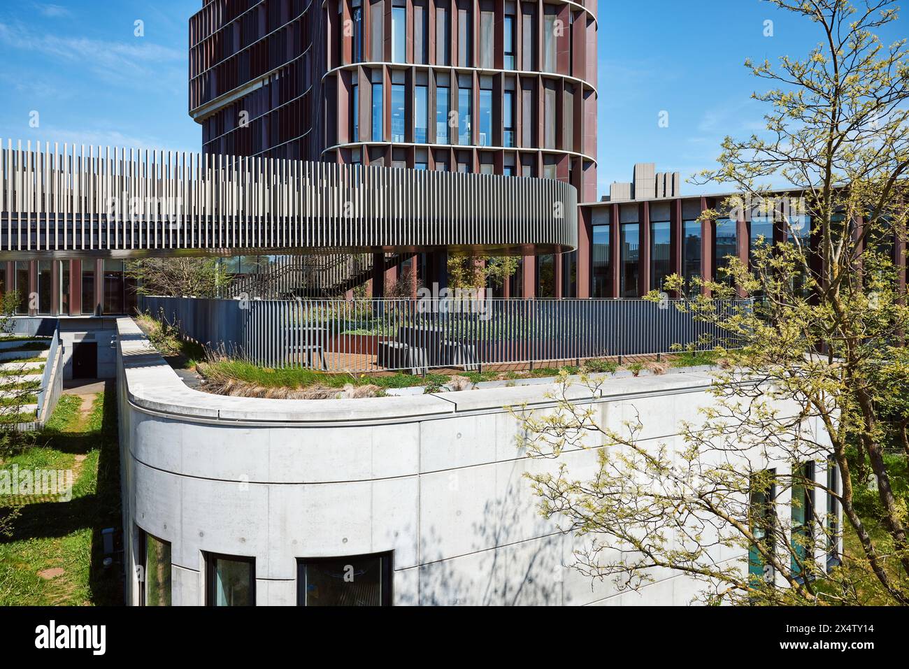 Maersk Torre (Maersk Tårnet), progettato da C.F. Møller Architects (2017); Blegdamsvej, Copenhagen, Danimarca Foto Stock