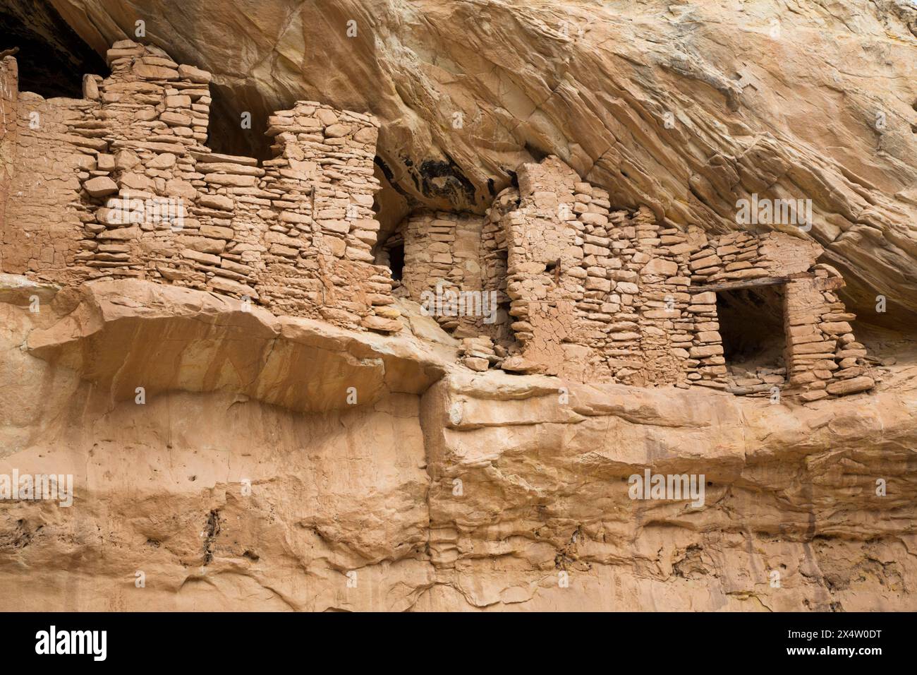 Rovine di destinazione, ancestrale Pueblo, fino a 1.000 anni, porta le orecchie monumento nazionale, Utah, Stati Uniti d'America Foto Stock