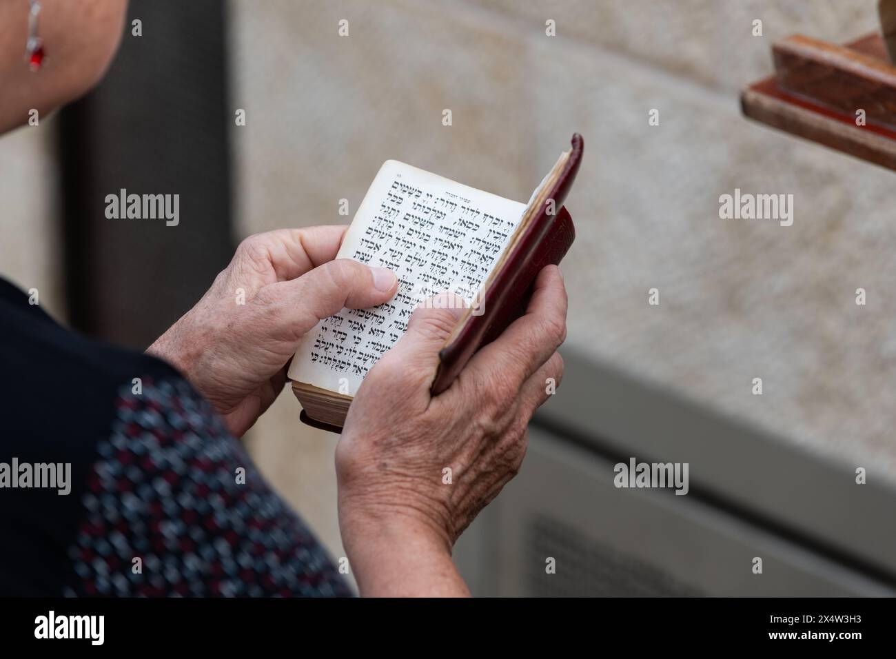 Primo piano della mano di una donna che tiene un piccolo siddur o libro di preghiere ebraico durante le funzioni mattutine presso il muro Occidentale di Gerusalemme. Foto Stock