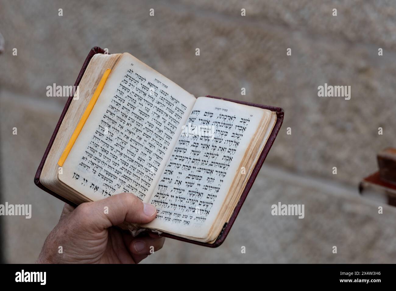 Primo piano della mano di una donna che tiene un piccolo siddur o libro di preghiere ebraico durante le funzioni mattutine presso il muro Occidentale di Gerusalemme. Foto Stock
