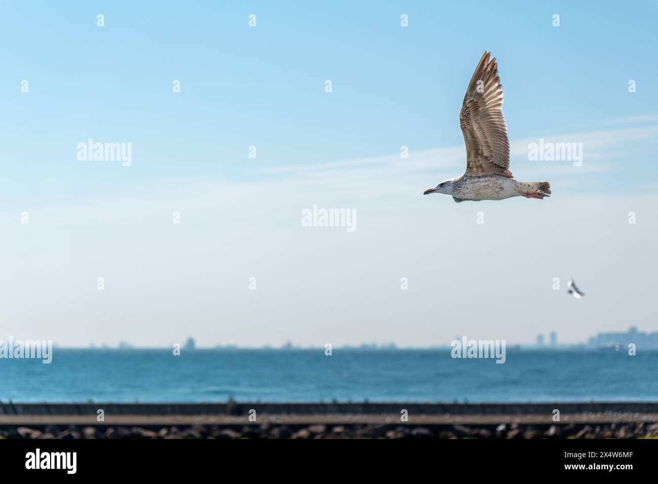 Immortalato la bellezza mozzafiato della storica penisola di Istanbul, 2024 Foto Stock