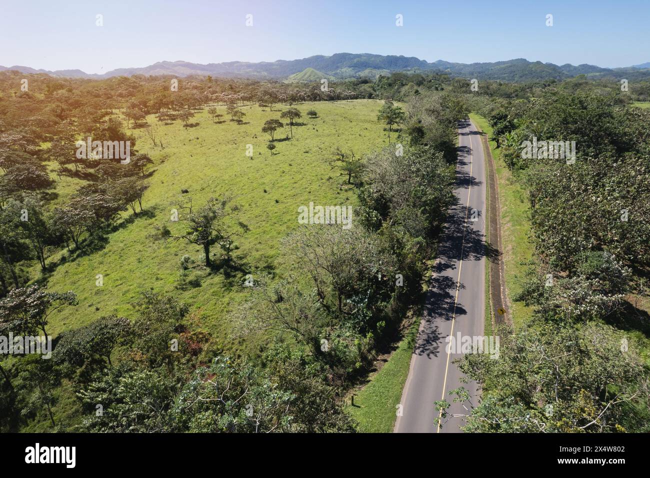 Strada coperta dall'ombra degli alberi vista aerea dei droni nella valle di montagna Foto Stock