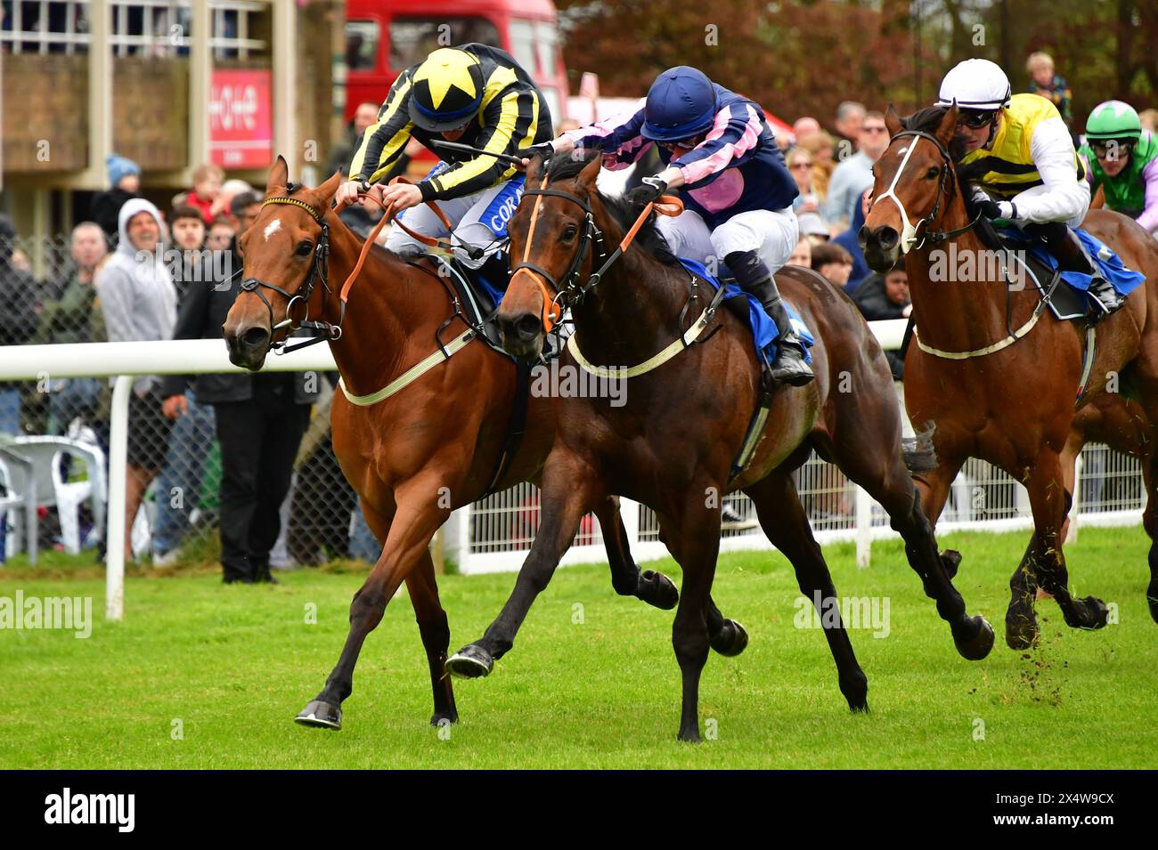 Salisbury, Regno Unito. 5 maggio 2024. Sub Thirteen, guidato da William Carson (cappello viola), vince il 3,20 Kingsclere staff handicap Stakes davanti a Connie's Rose, guidato da Kieran o'Neill (cappello stellato nero e giallo), all'ippodromo di Salisbury, Regno Unito. Crediti: Paul Blake/Alamy Live News. Foto Stock