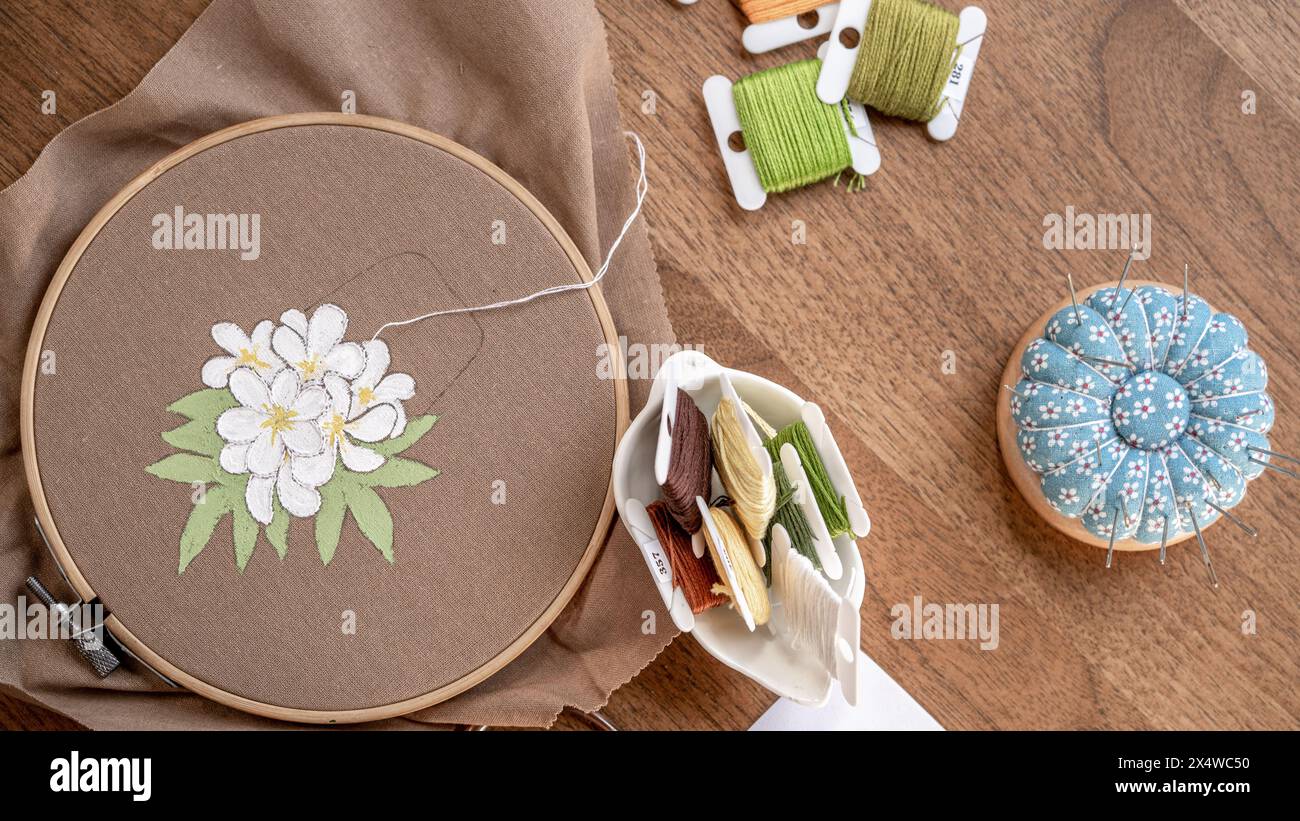 Filettatura e tela: Fiori ricamati a mano fai da te su tessuto verniciato Foto Stock