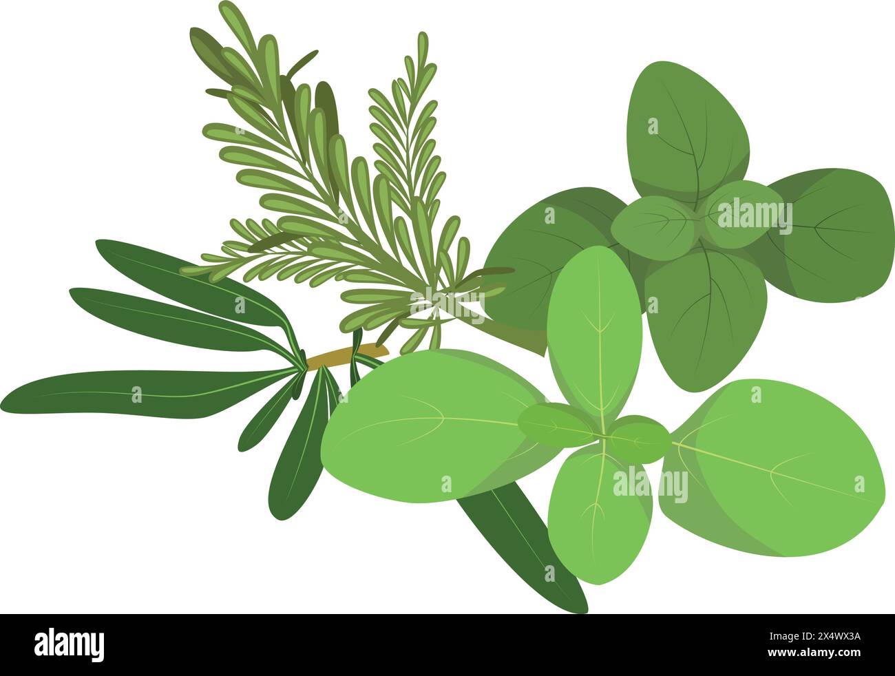 Vettore provenzale erbe illustrazione isolato in stile cartoon. Erbe e specie Serie Illustrazione Vettoriale