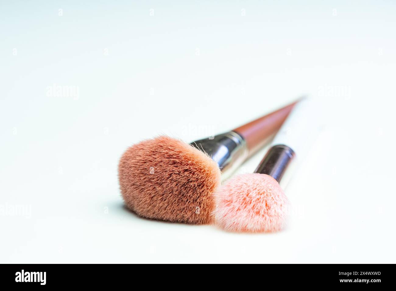 Vista ravvicinata di due pennelli per il trucco. Una spazzola per il trucco con setole rosa e manico bianco e l'altra con setole marroni e manico marrone Foto Stock