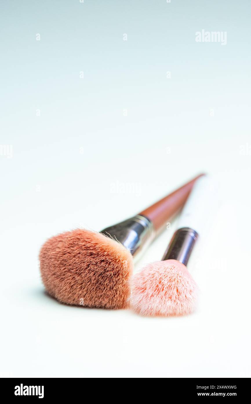 Vista ravvicinata di due pennelli per il trucco. Una spazzola per il trucco con setole rosa e manico bianco e l'altra con setole marroni e manico marrone Foto Stock