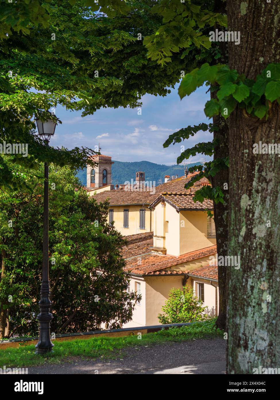 Vista del centro storico di Lucca con la Torre delle ore Foto Stock