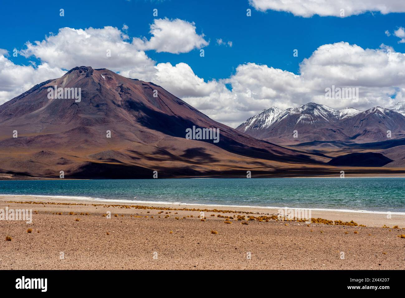 Vista della Laguna Miscanti, della riserva nazionale di Los Flamencos, della regione di Antofagasta, Cile. Foto Stock
