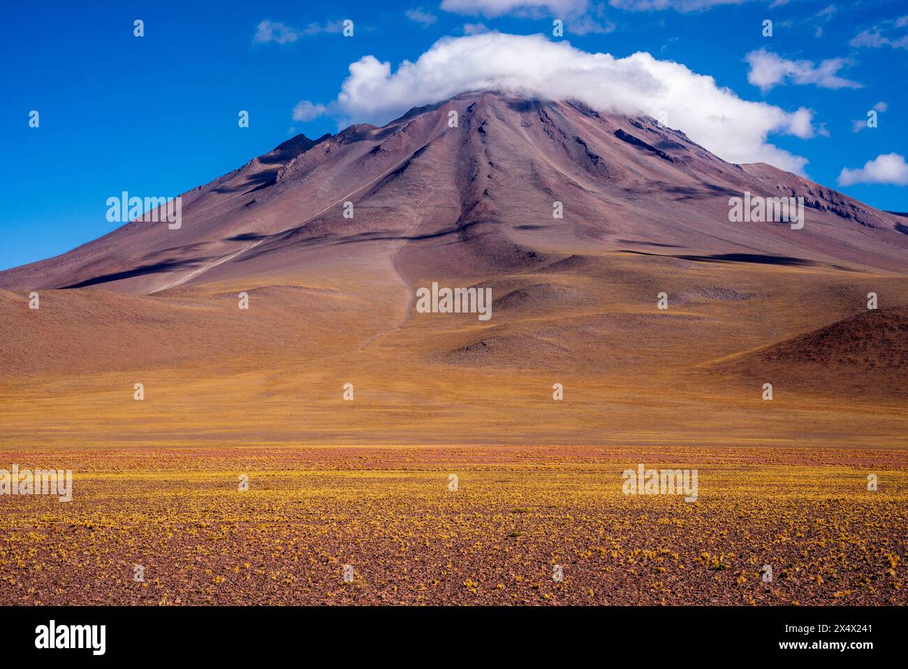 Tipico paesaggio cileno dell'Altiplano vicino a San Pedro de Atacama, Cile. Foto Stock